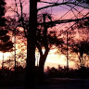 Meet your Posher, Sean